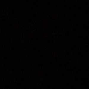 Meet your Posher, Summer